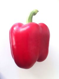Close-up of tomatoes