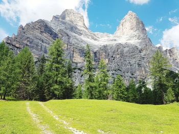 Scenic view of trees on field against sky