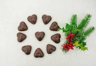 High angle view of vegetables against white background