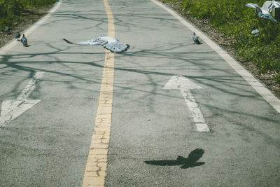 High angle view of person with umbrella on road