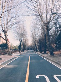 Empty road along bare trees in city