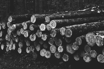 Stack of wooden logs