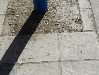 Low section of woman standing on tiled floor