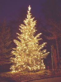 Illuminated christmas tree against sky at night