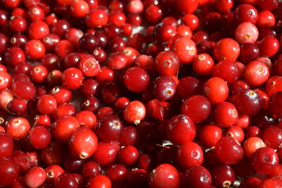 Full frame shot of cranberries