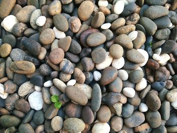 Full frame shot of stones