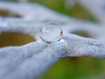 Close-up of raindrops on glass