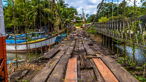 Panoramic shot of footbridge amidst trees against sky