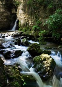 Scenic view of waterfall in forest