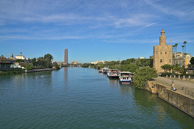 Torre del oro and the river at daylight