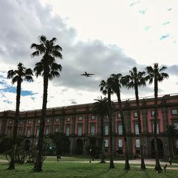 Palm trees and buildings against cloudy sky