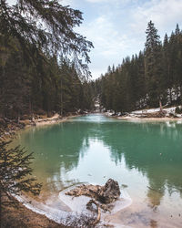 Scenic view of lake in forest against sky