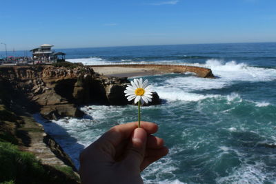 Person hand holding water by sea against sky