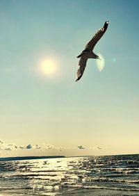 Seagulls flying over sea against sky