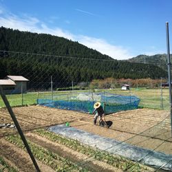 Farmer working on field