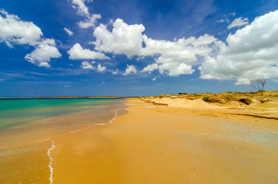 Scenic view of beach