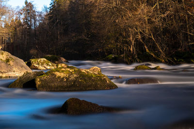 Scenic view of waterfall in forest against sky