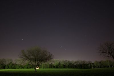 Trees on field against clear sky at night