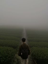 Rear view of man standing on field