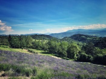 Scenic view of landscape against sky