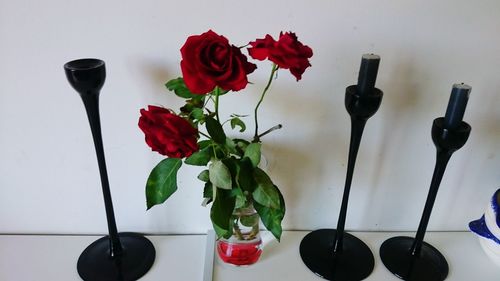 Close-up of flowers in vase