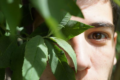 Close-up portrait of man peeking through leaves