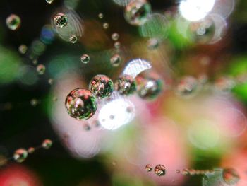 Close-up of christmas decoration