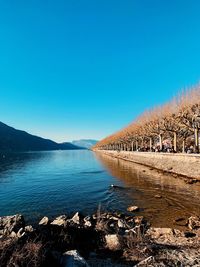 Scenic view of sea against clear blue sky