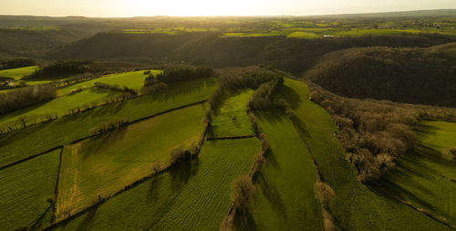 Scenic view of agricultural field against sky during sunset