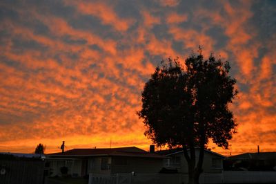 Silhouette of tree against dramatic sky