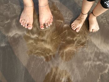 Low section of women standing on beach