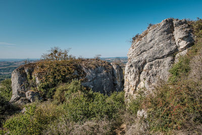 Plants growing on rock by sea against clear blue sky