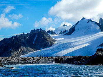 Penguins and sealions on beach in antarctica with mountains in the bagground