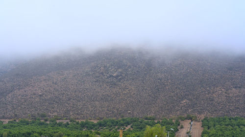environment