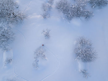 High angle view of snow covered trees on field against sky