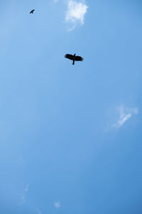 Low angle view of airplane flying in sky