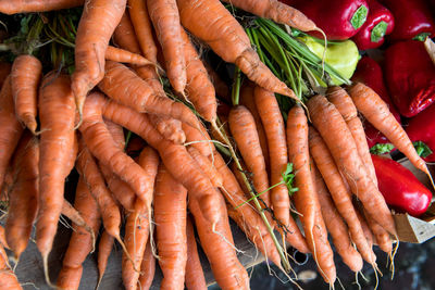 Carrots at a farmers market