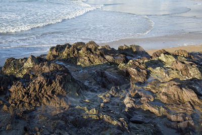 Scenic view of sea shore