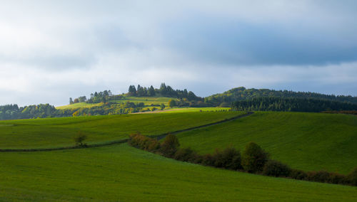 Scenic view of green landscape against sky