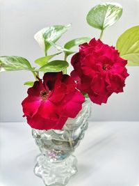 Close-up of red rose bouquet on table