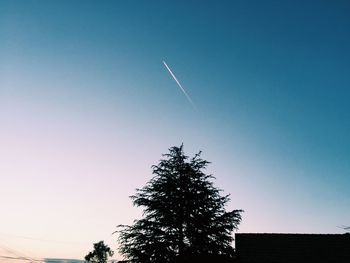 Low angle view of trees against clear blue sky