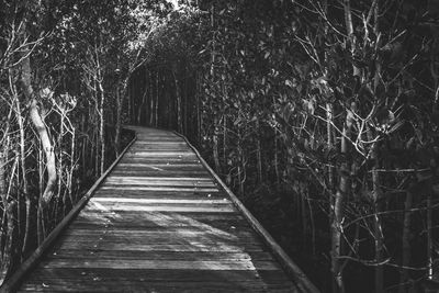 Footpath leading towards forest