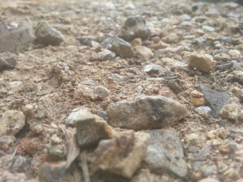 Full frame shot of rocks on beach