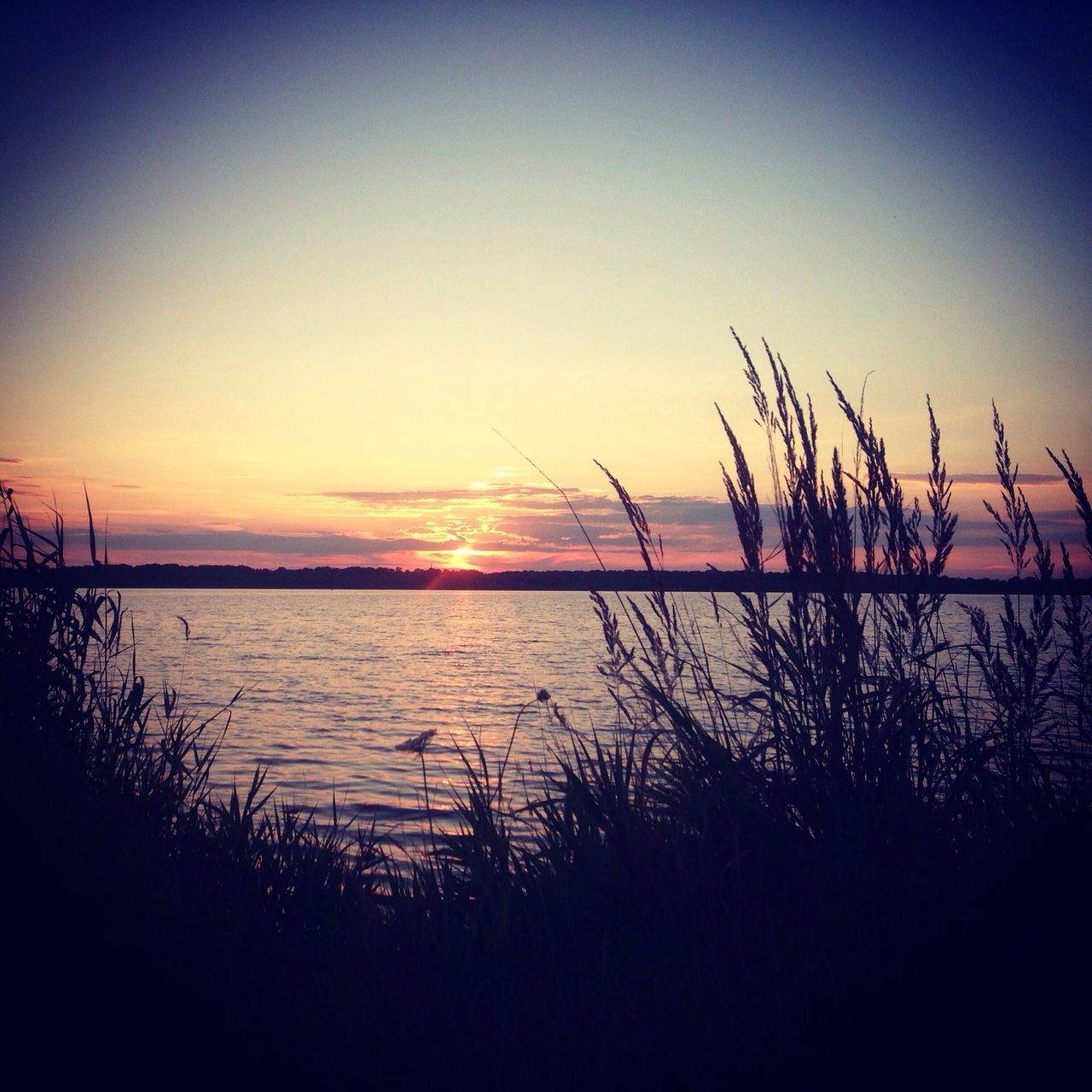 sunset, tranquil scene, tranquility, water, silhouette, scenics, beauty in nature, nature, plant, sun, sky, idyllic, orange color, lake, sea, clear sky, grass, growth, copy space, reflection