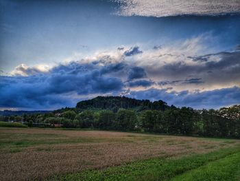 Scenic view of field against sky