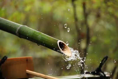 Close-up of water splashing from bamboo 