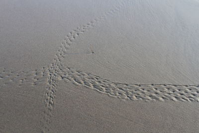 High angle view of footprints on sand at beach