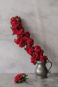 High angle view of red flowers in vase on table