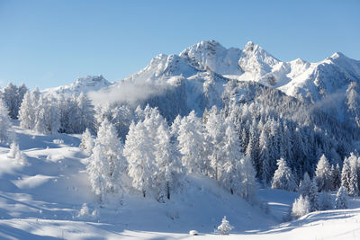 Snowy forest with mountains at the background. austrian alps