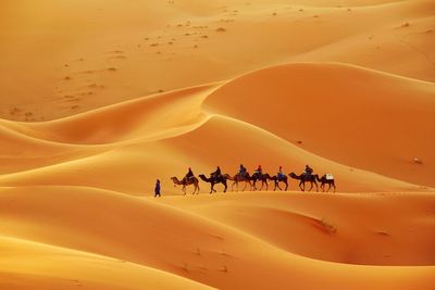 People riding a desert